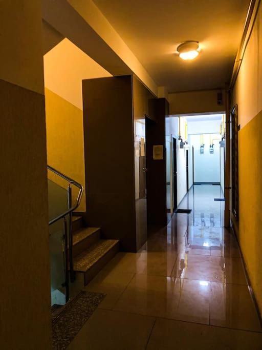 Cazare Iasi Palas Apartment 外观 照片