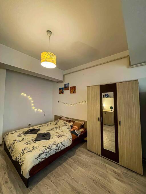 Cazare Iasi Palas Apartment 外观 照片